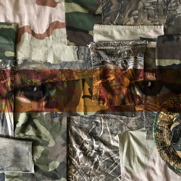 Camouflage Cognizance