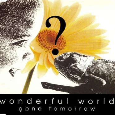 Wonderful World by Gone Tomorrow - album cover