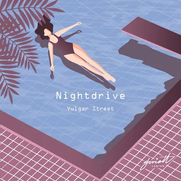 Vulgar Street by Nightdrive - album cover