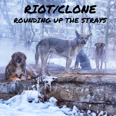 Rounding Up the Strays