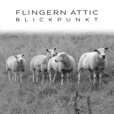 Flingern Attic