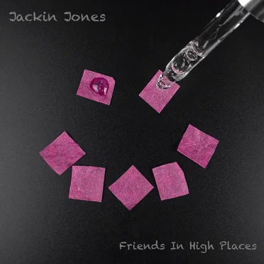 Friends in High Places by Jackin Jones - album cover