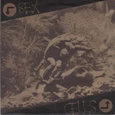 Sex Cells