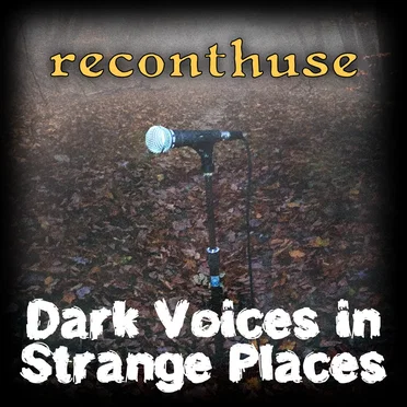 Dark Voices in Strange Places by reconthuse - album cover
