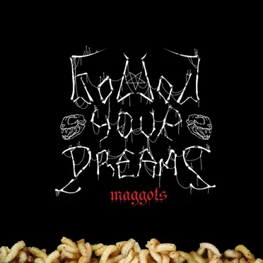 Maggots