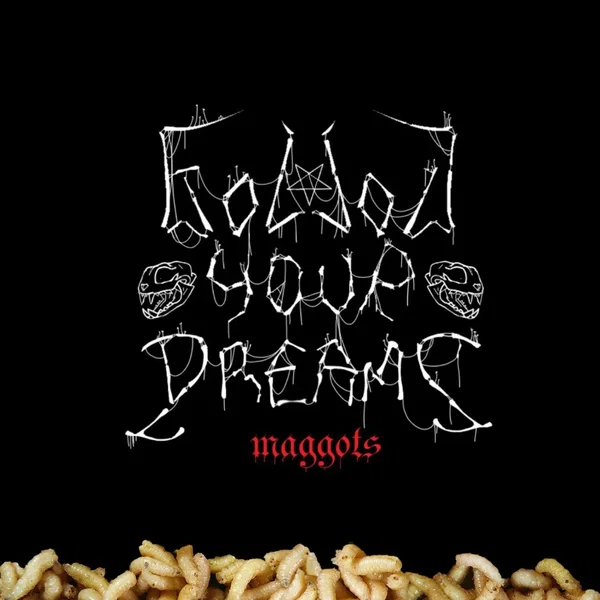 Maggots