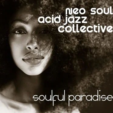 Soulful Paradise by Neo Soul Acid Jazz Collective - album cover