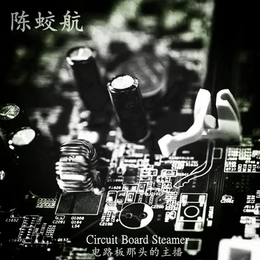 Circuit Board Steamer