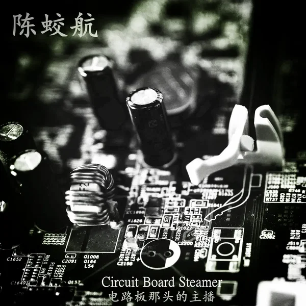 Circuit Board Steamer