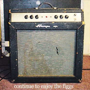 Continue to Enjoy The Figgs