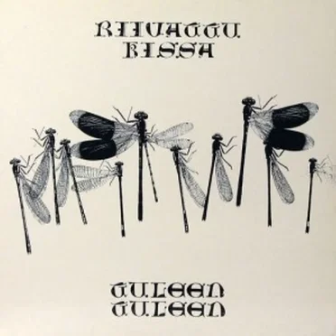 Tuleen, tuleen by Riivattu kissa - album cover