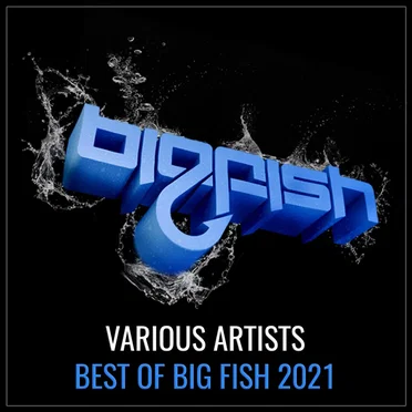 Best of Big Fish 2021 by Various Artists - album cover