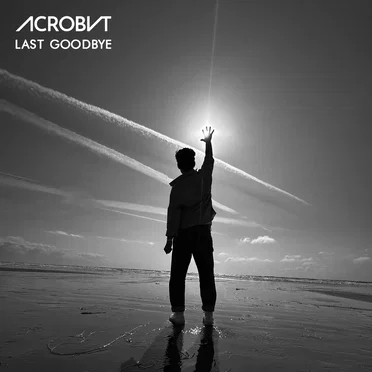 Last Goodbye by ACROBVT - album cover
