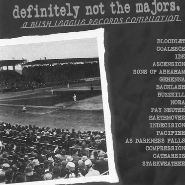 Definitely Not the Majors by Various Artists - album cover