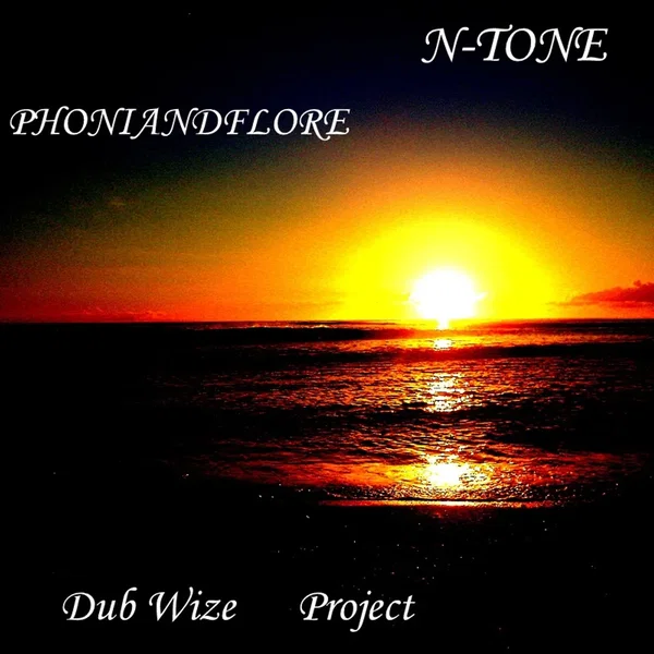 Dub Wize Project