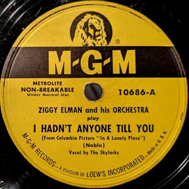 I Hadn't Anyone Till You