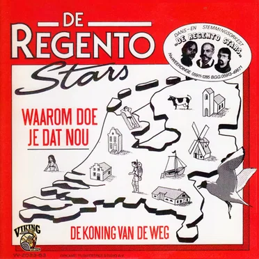 Waarom doe je dat nou / De koning van de weg