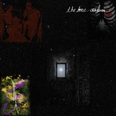 The Bone Asylum by Dead Poets Society - album cover
