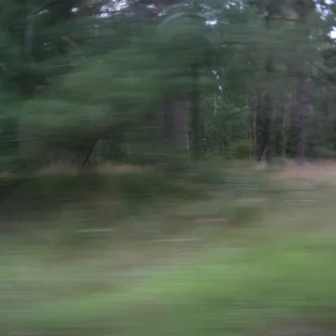 centrinis s. [TT22ra]