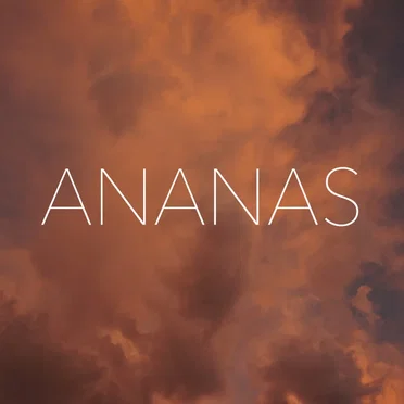Ananas by Sylvain Paslier - album cover
