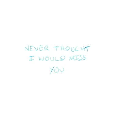 Never Thought I Would Miss You