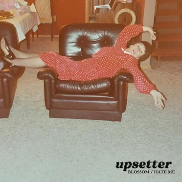 Blossom/Hate Me by Upsetter - album cover