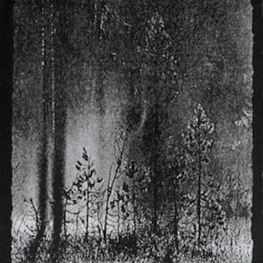 Temple Forest