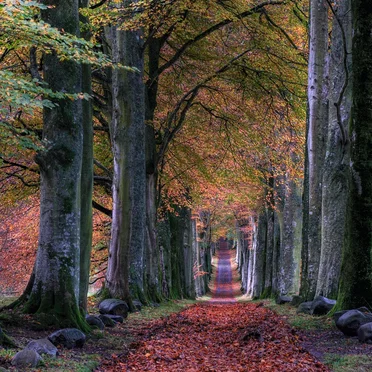 Scott Lawlor and Friends 4