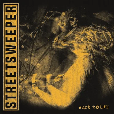 Back To Life by StreetSweeper - album cover