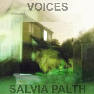voices by salvia palth - album cover
