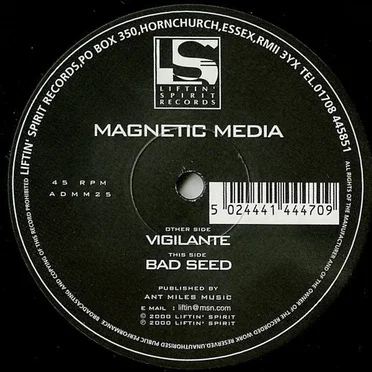 Vigilante / Bad Seed