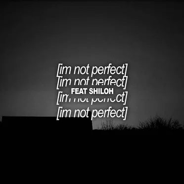 i'm not perfect