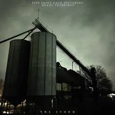 The Storm by Five Point Palm Exploding Heart Technique - album cover