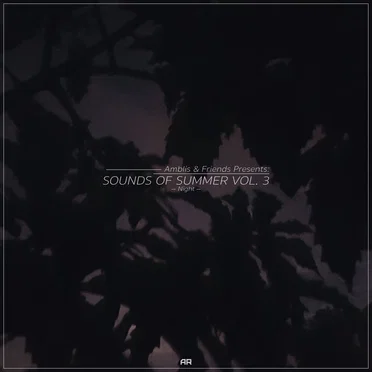 Sounds of Summer, Vol. 3: Night