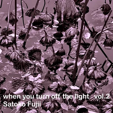 When You Turn Off the Light Vol.2