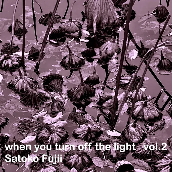 When You Turn Off the Light Vol.2