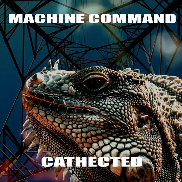 Cathected