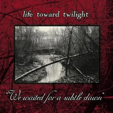 We Waited for a Subtle Dawn