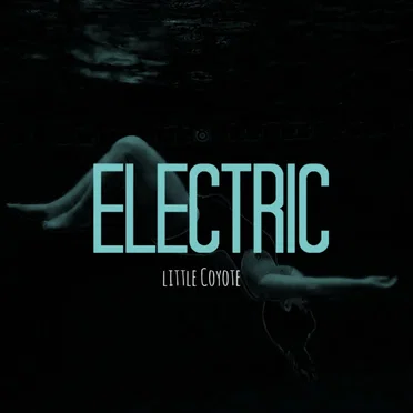 Electric