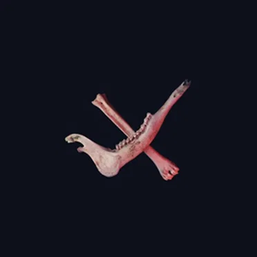 A.D. 3014 by Korpolompolo - album cover