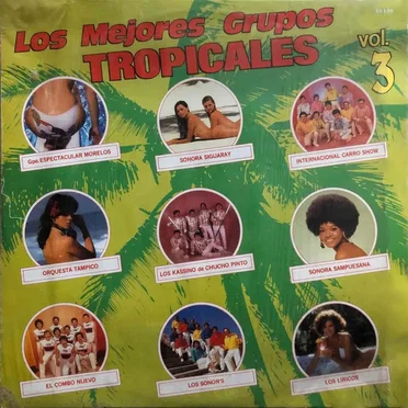 Los mejores grupos tropicales, vol. 3 by Various Artists - album cover