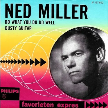 Do What You Do Do Well / Dusty Guitar