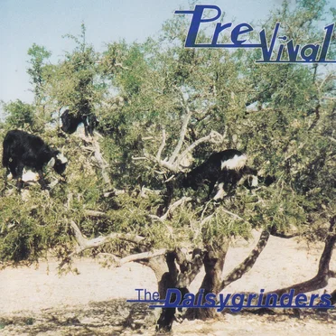 PreVival EP by Daisygrinders - album cover