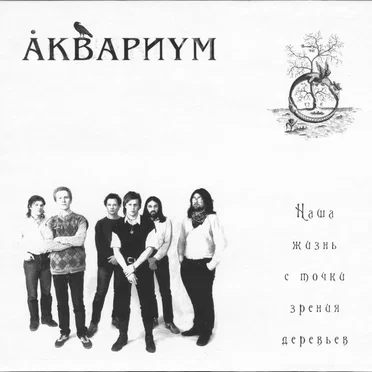 Наша жизнь с точки зрения деревьев