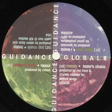 Global Guidance II by Various Artists - album cover