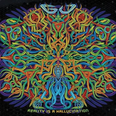 Reality Is A Hallucination