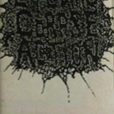 Demo by Exploding Corpse Action - album cover