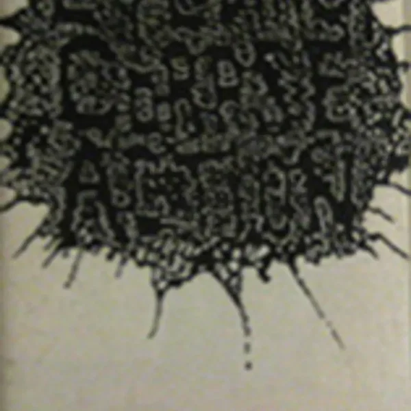 Demo