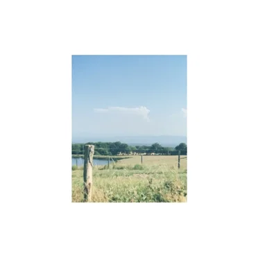 #FFFF00 by Bootie Grove - album cover