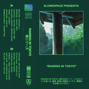 Raining in Tokyo